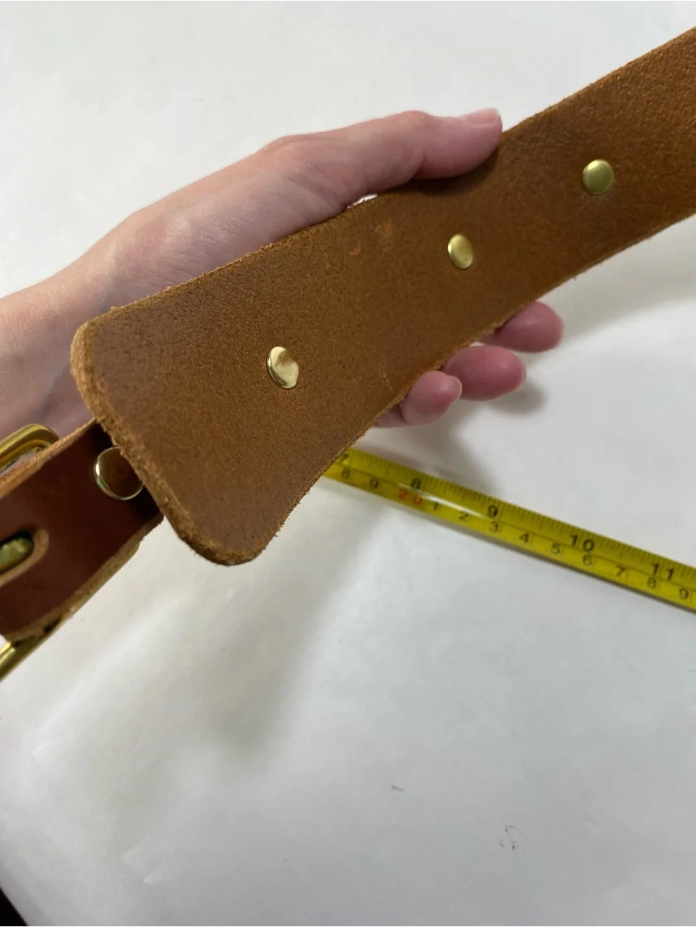 Leathe Dog Collar Animal Dog With Brass Ring and Buckle 11 1/2